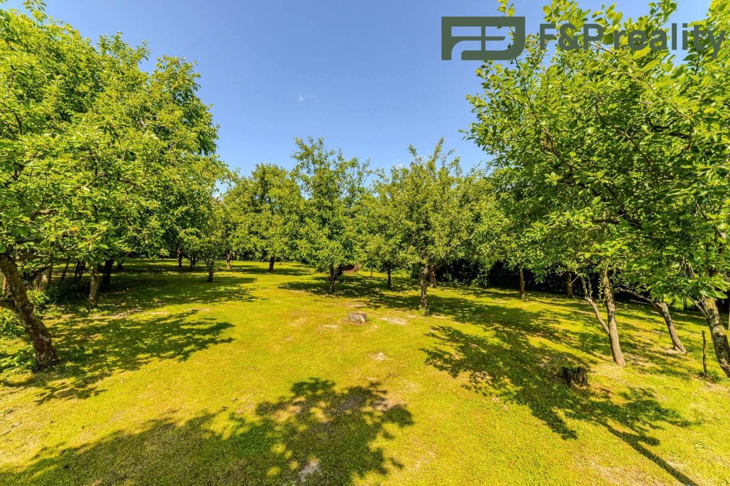 Prodej domu 300 m² - foto 18