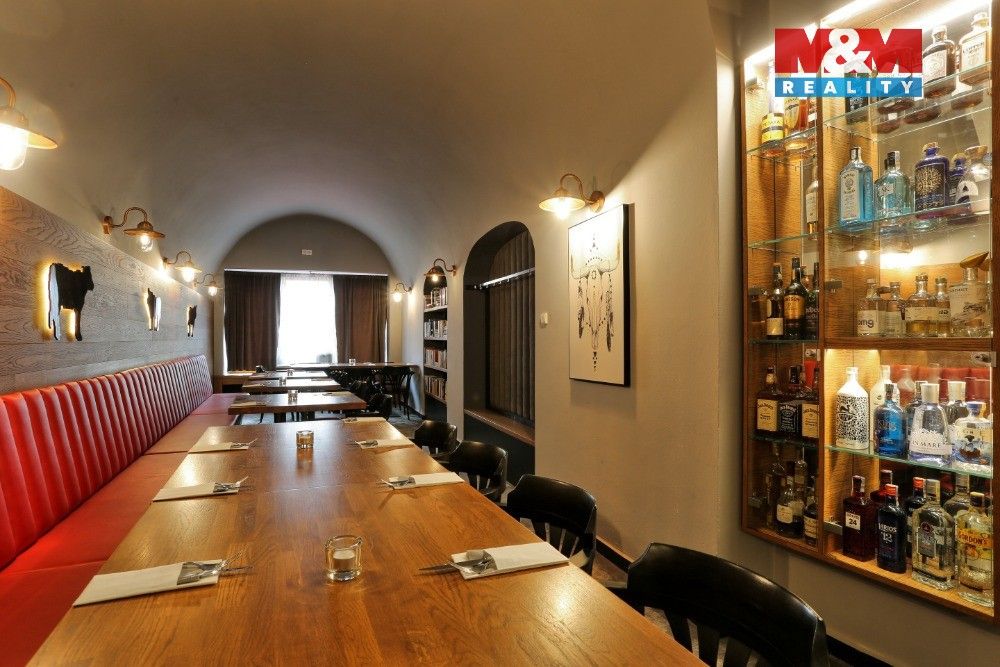 Pronájem komerčního prostoru 500 m² - foto 13