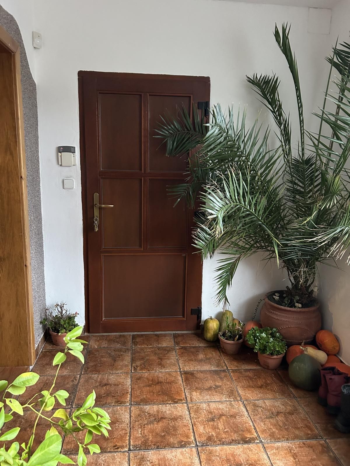 Prodej nemovitosti 170 m² - foto 4