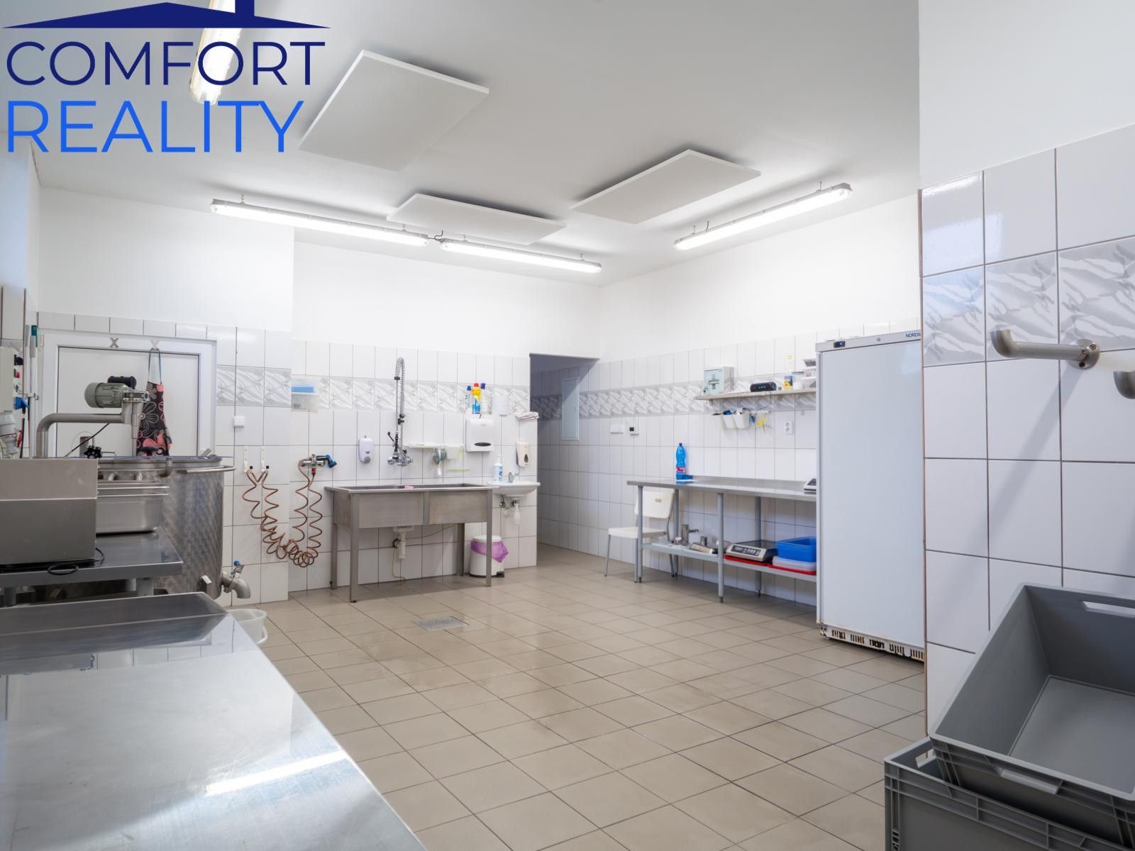 Prodej komerčního prostoru 220 m² - foto 4