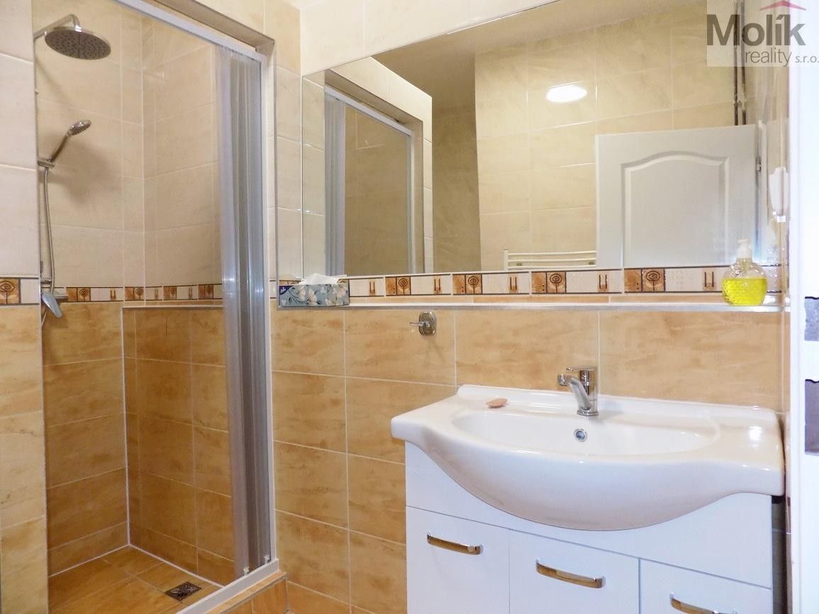 Pronájem bytu 2+1 53 m² - foto 5