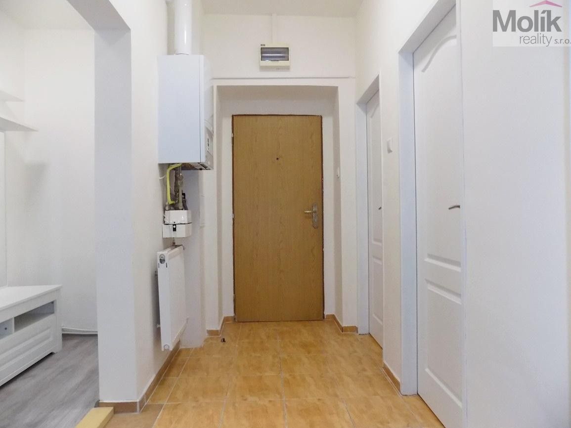 Pronájem bytu 2+1 53 m² - foto 8