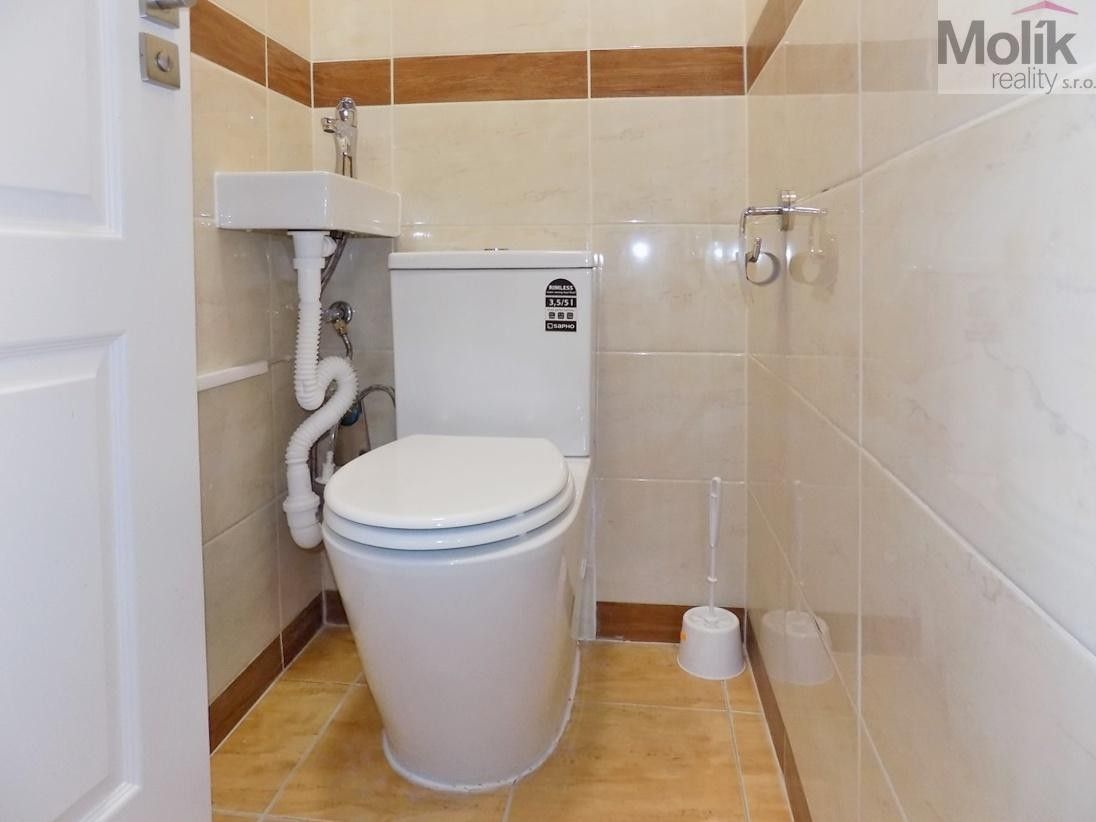 Pronájem bytu 2+1 53 m² - foto 11