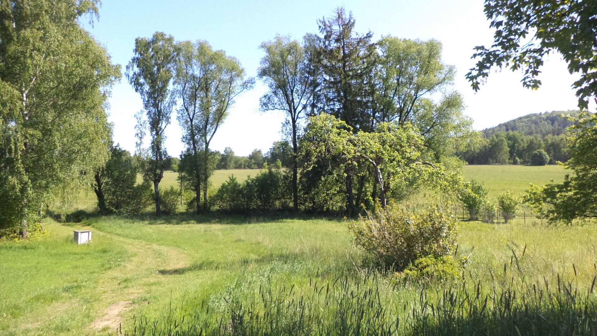Prodej pozemku 2931 m² - foto 2