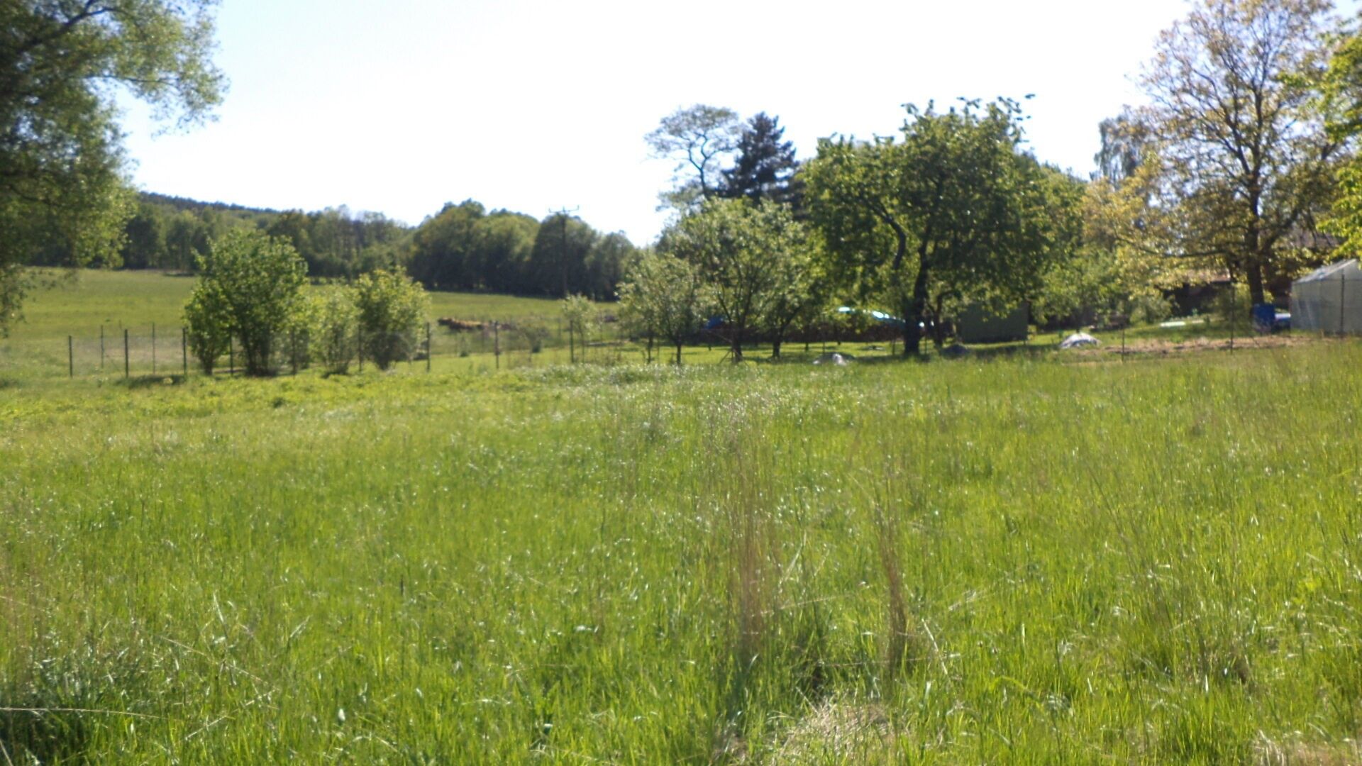 Prodej pozemku 2931 m² - foto 1