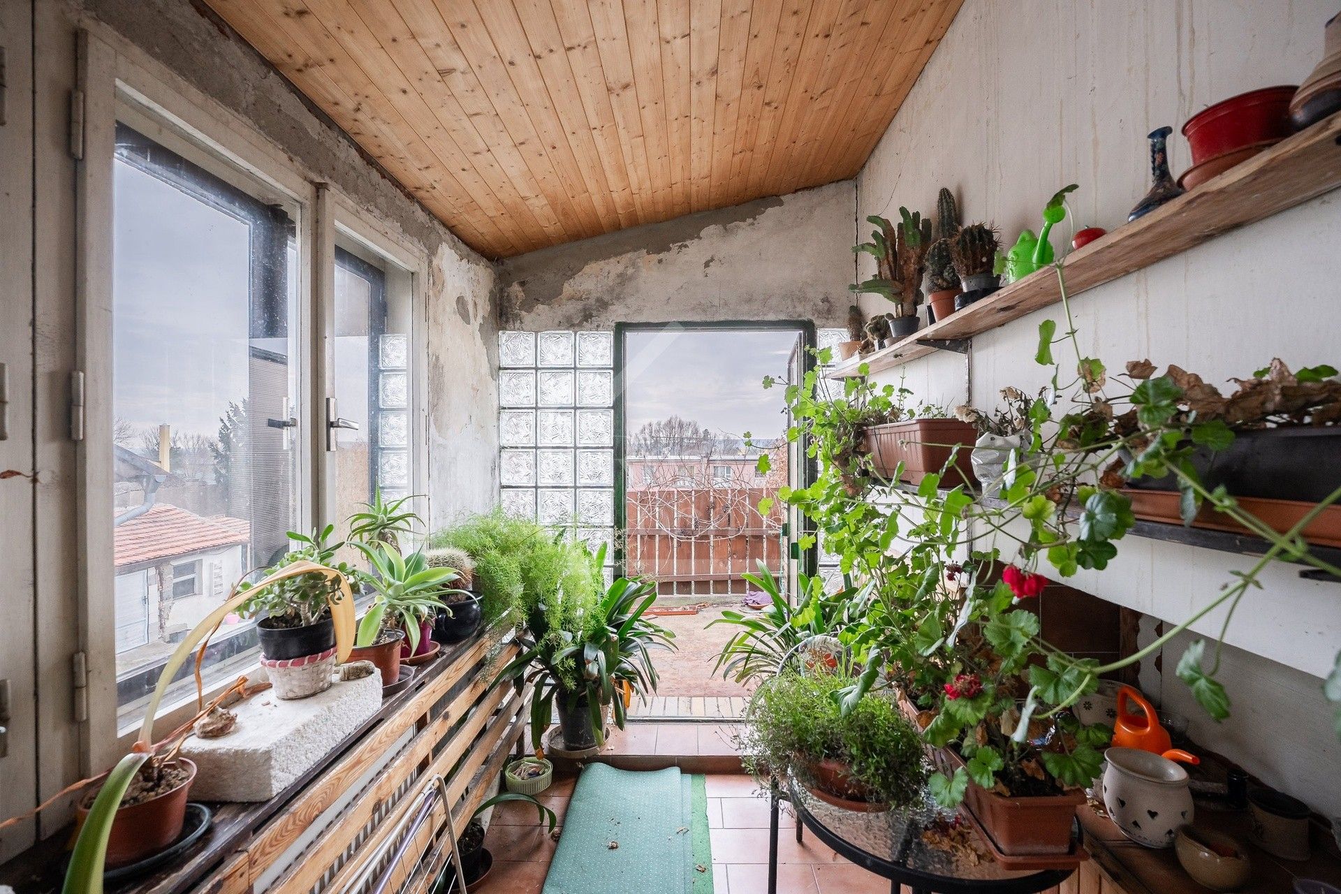 Prodej domu 470 m² - foto 15