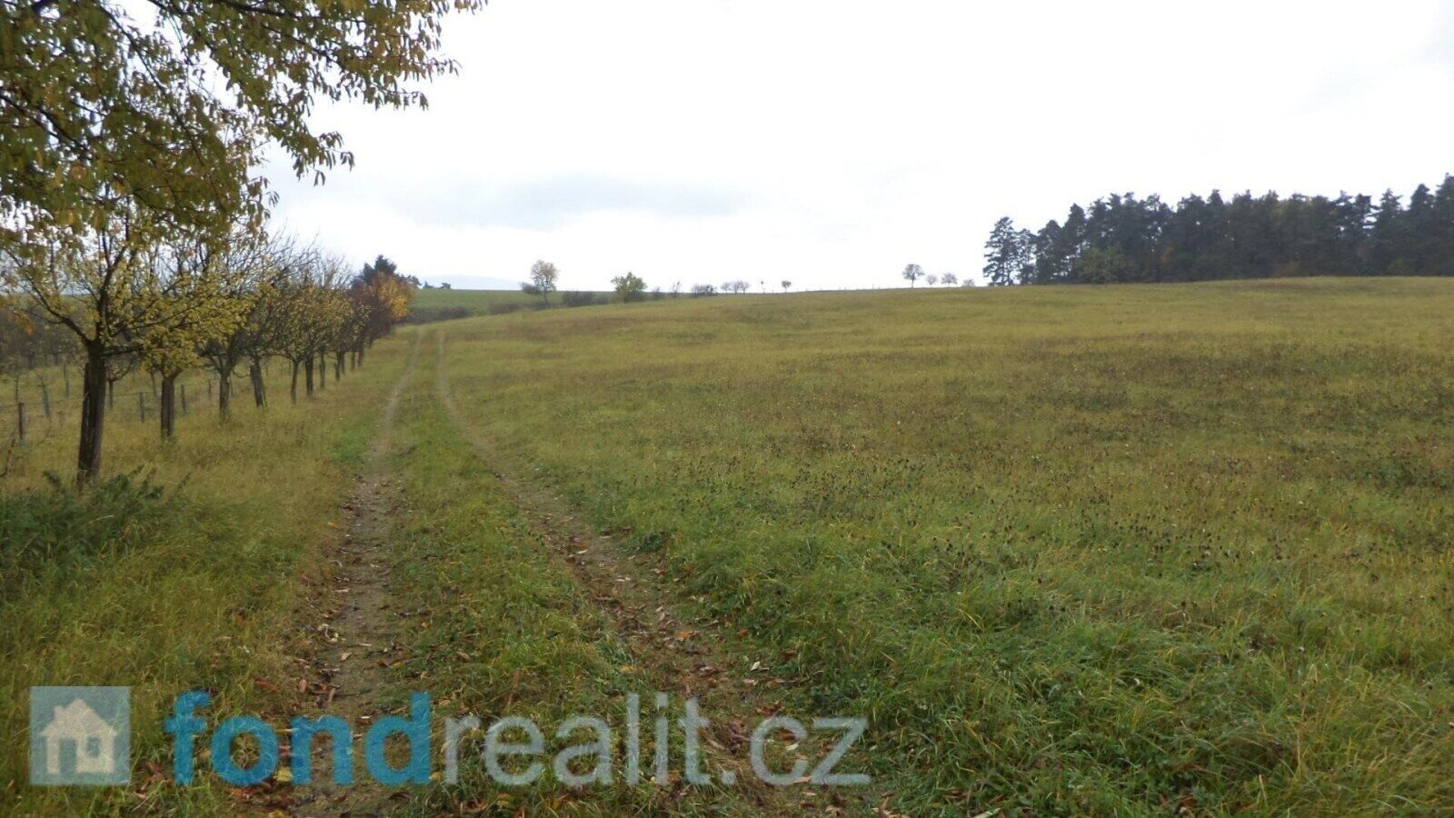 Prodej pozemku 6246 m² - foto 2