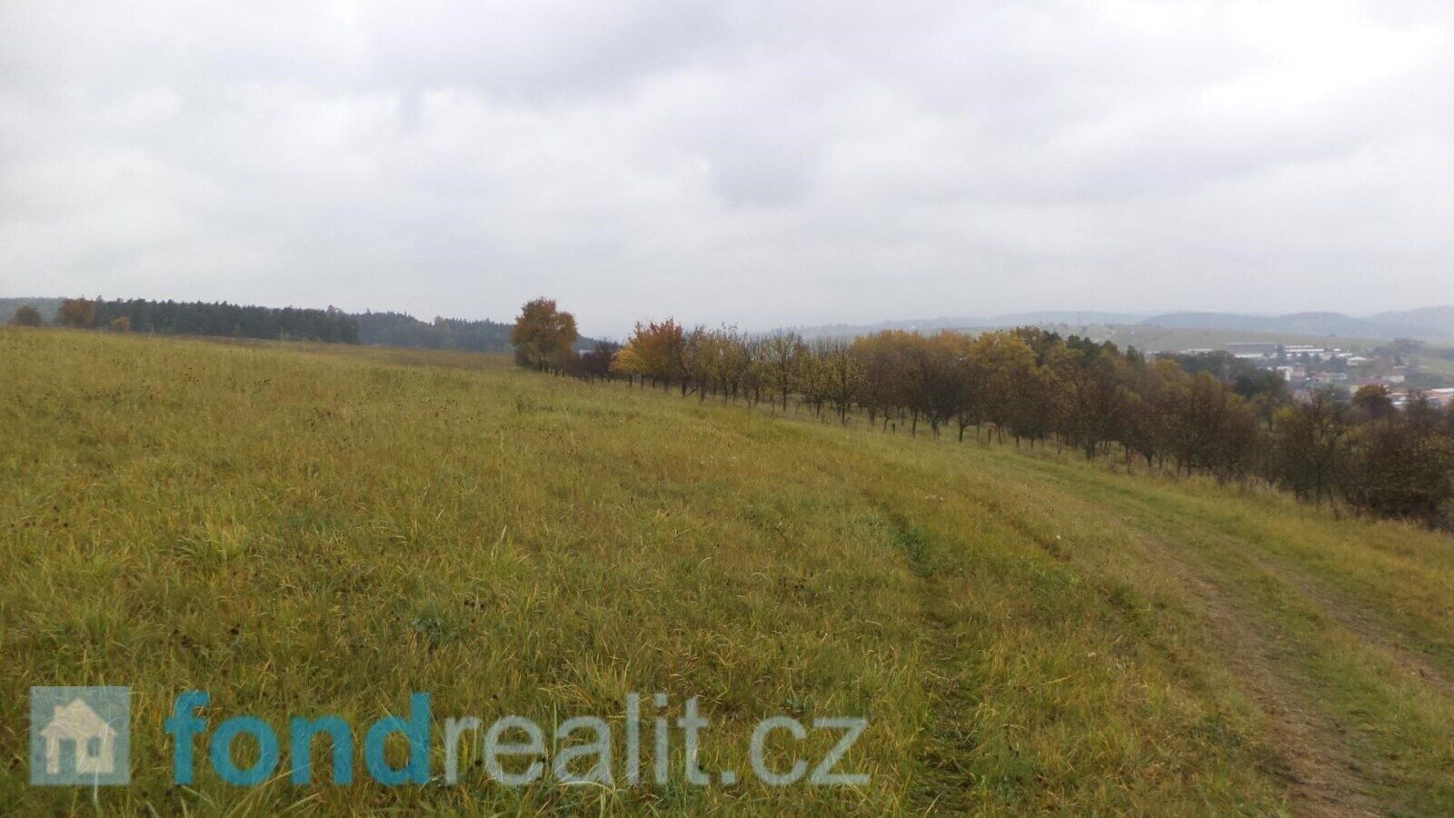 Prodej pozemku 6246 m² - foto 6