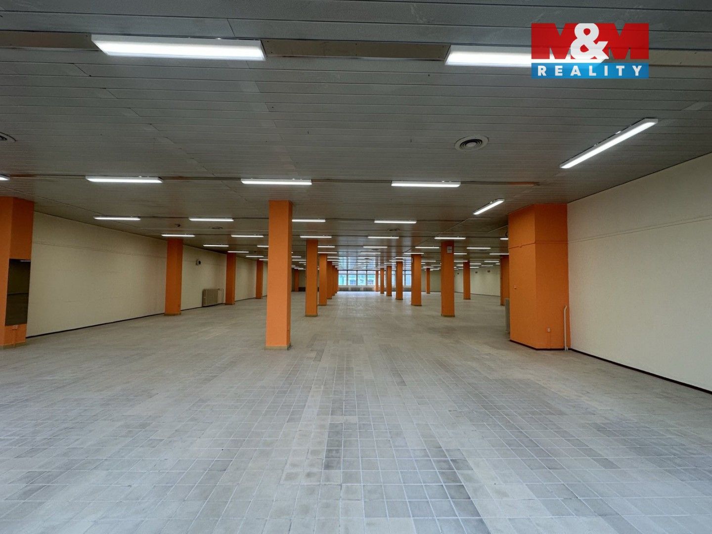 Pronájem komerčního prostoru 1300 m² - foto 3