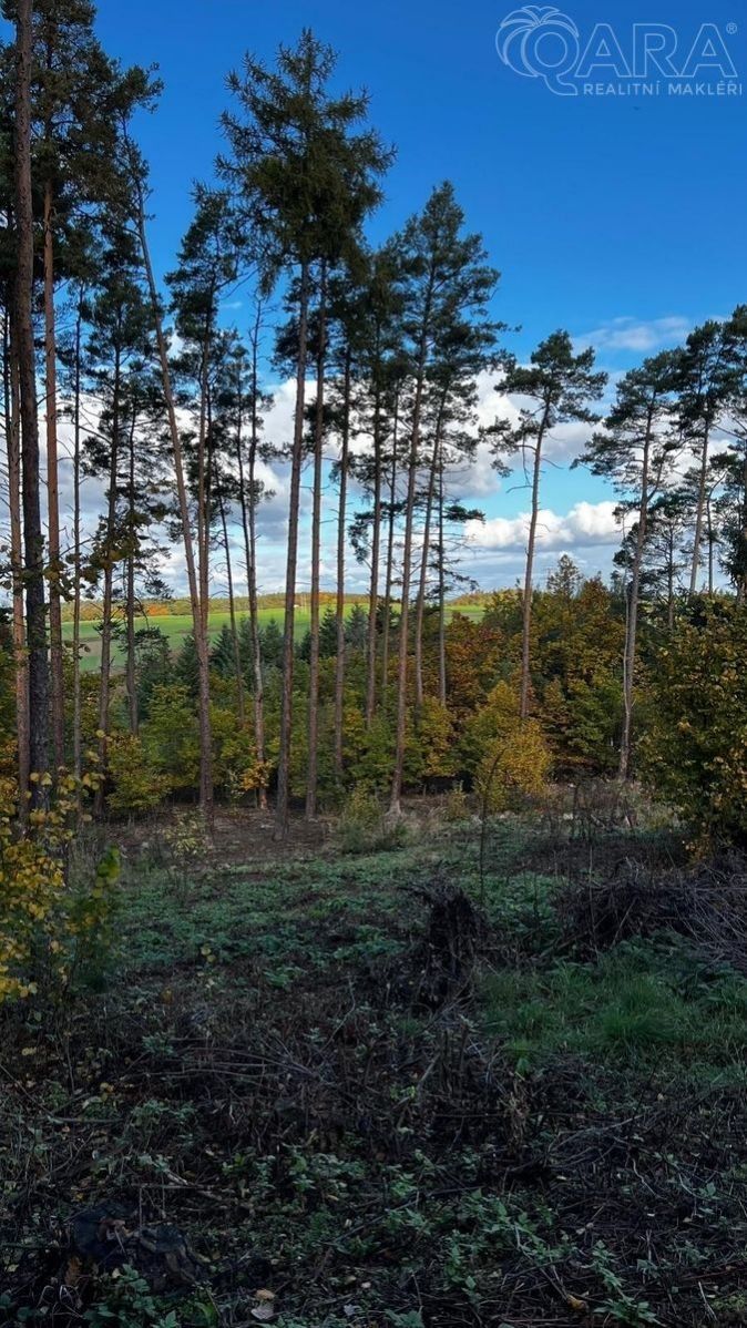 Prodej pozemku 8586 m² - foto 4