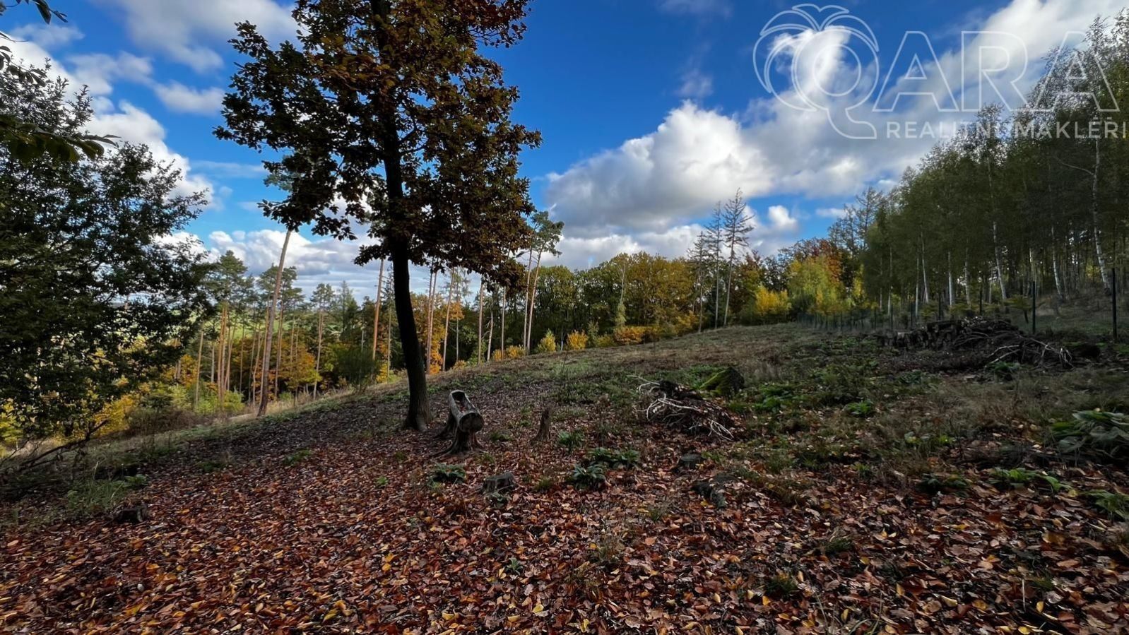 Prodej pozemku 8586 m² - foto 8