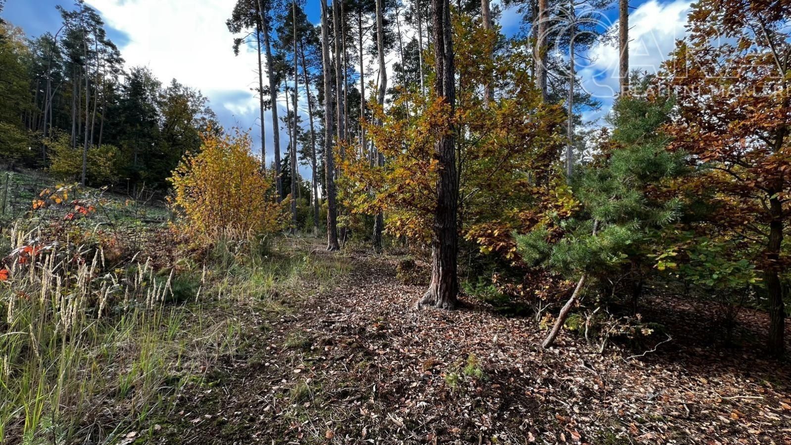 Prodej pozemku 8586 m² - foto 10