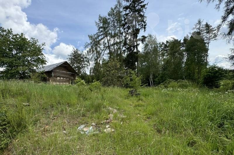 Prodej pozemku 11500 m² - foto 5