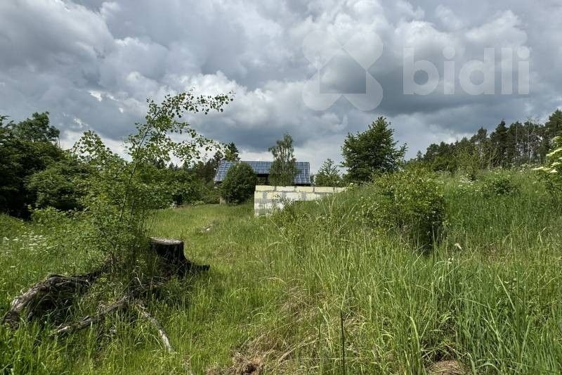 Prodej pozemku 11500 m² - foto 13