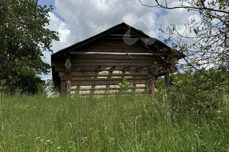 Prodej pozemku 11500 m² - foto 16