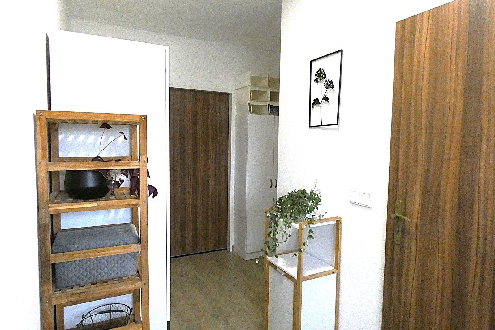 Pronájem bytu 1+kk 30 m² - foto 5