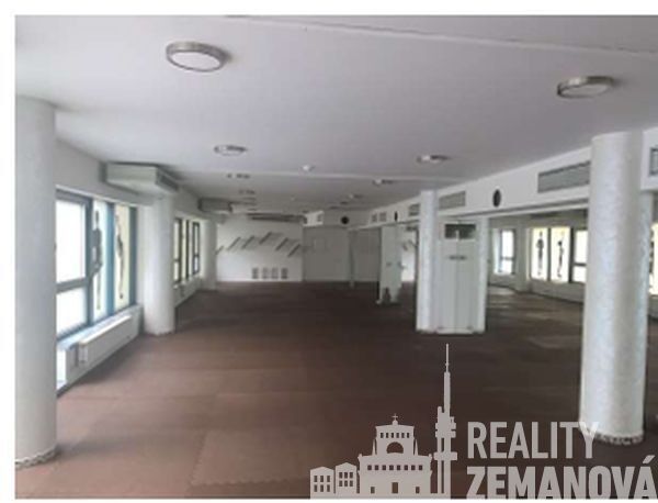 Pronájem nemovitosti 360 m² - foto 1
