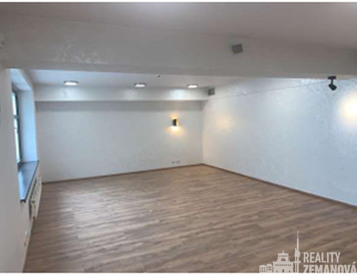 Pronájem nemovitosti 360 m² - foto 3