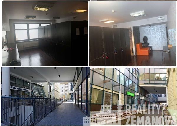Pronájem nemovitosti 360 m² - foto 4