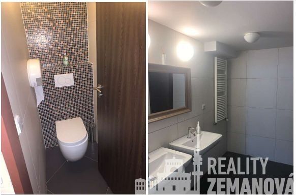 Pronájem nemovitosti 360 m² - foto 5