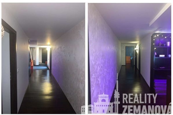 Pronájem nemovitosti 360 m² - foto 6