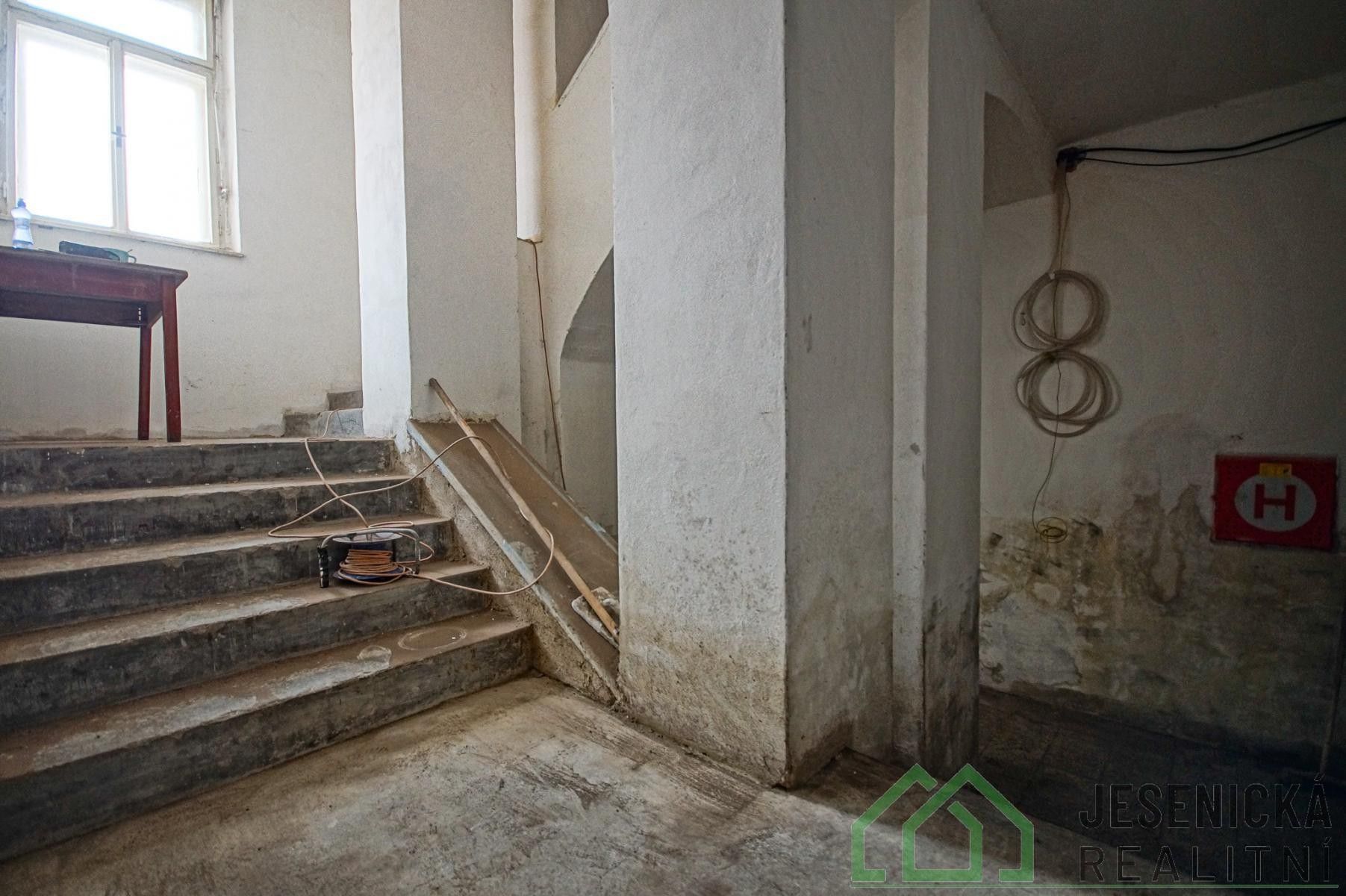 Prodej komerčního prostoru 240 m² - foto 10