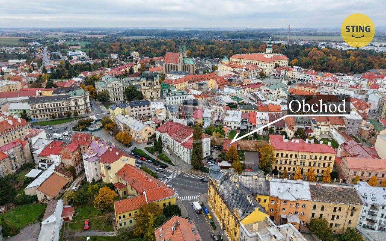 Prodej komerčního prostoru 102 m² - foto 29