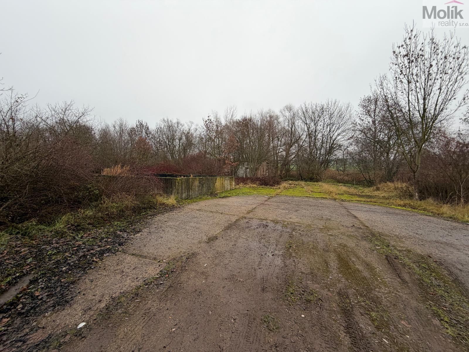 Prodej pozemku 15490 m² - foto 1