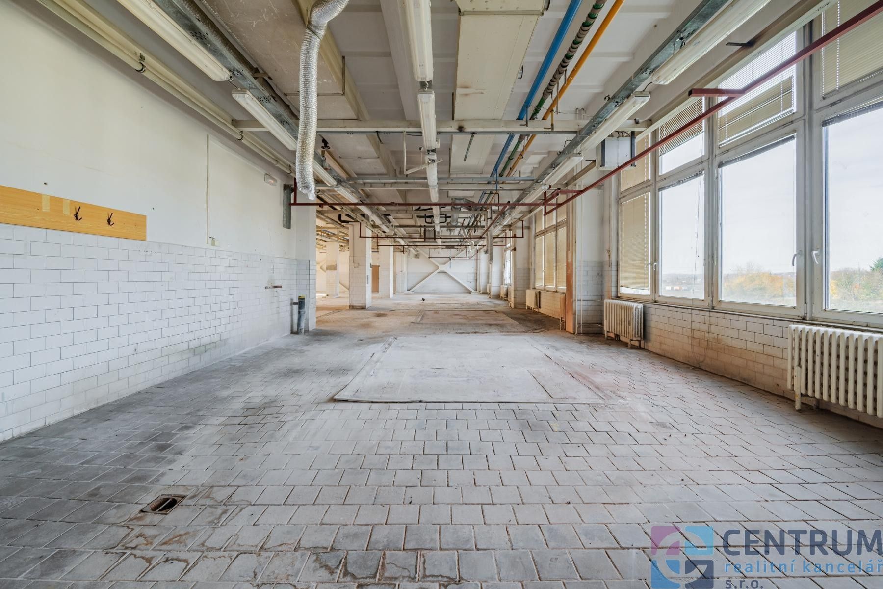 Pronájem komerčního prostoru 583 m² - foto 3