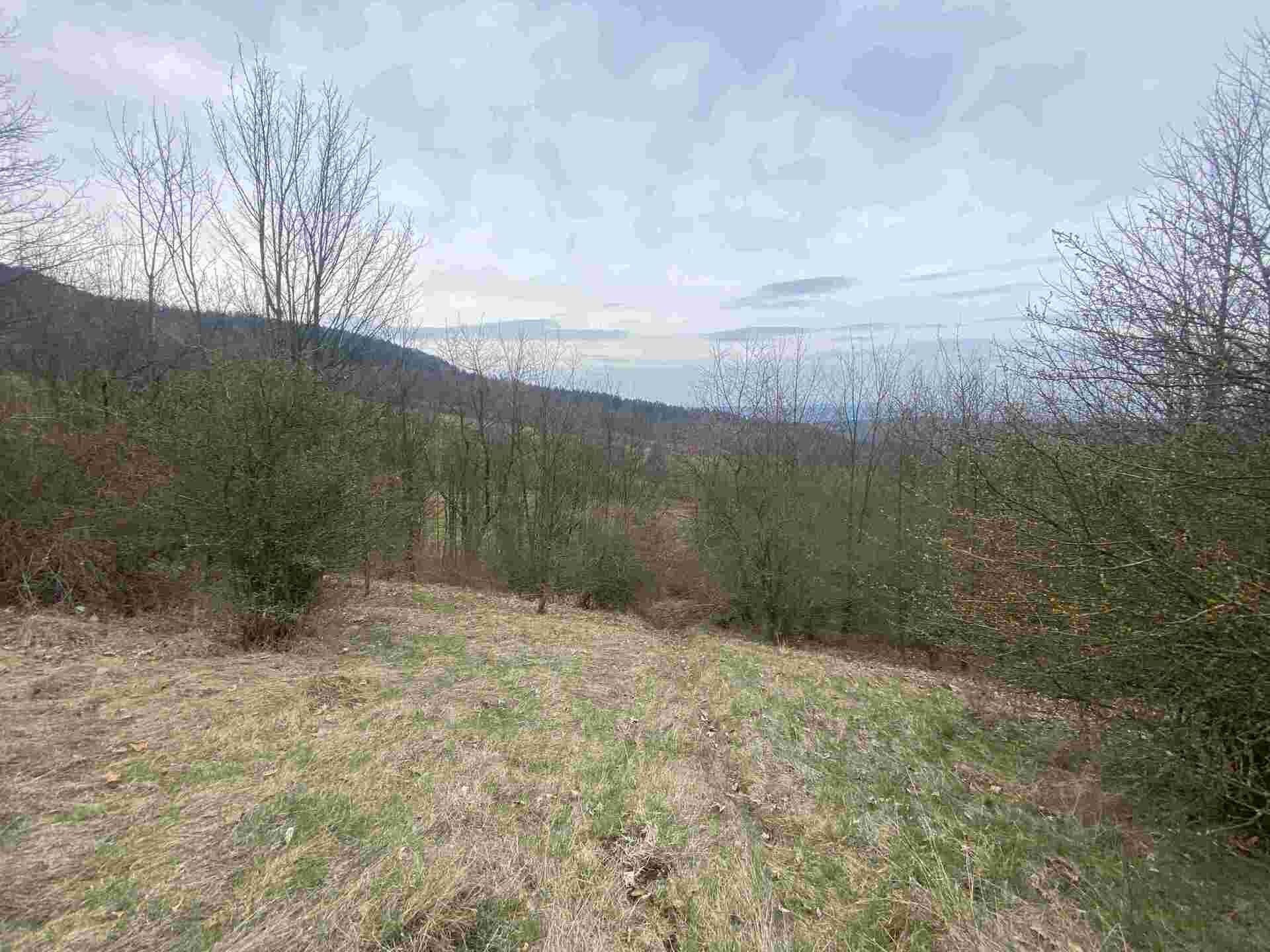 Prodej pozemku 20044 m² - foto 9