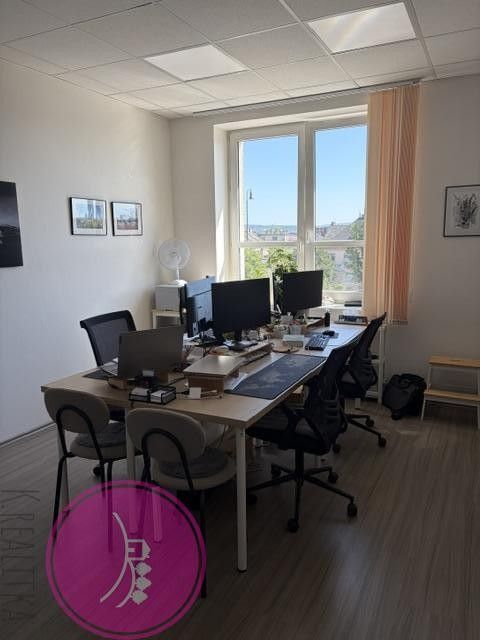Pronájem nemovitosti 25 m² - foto 2