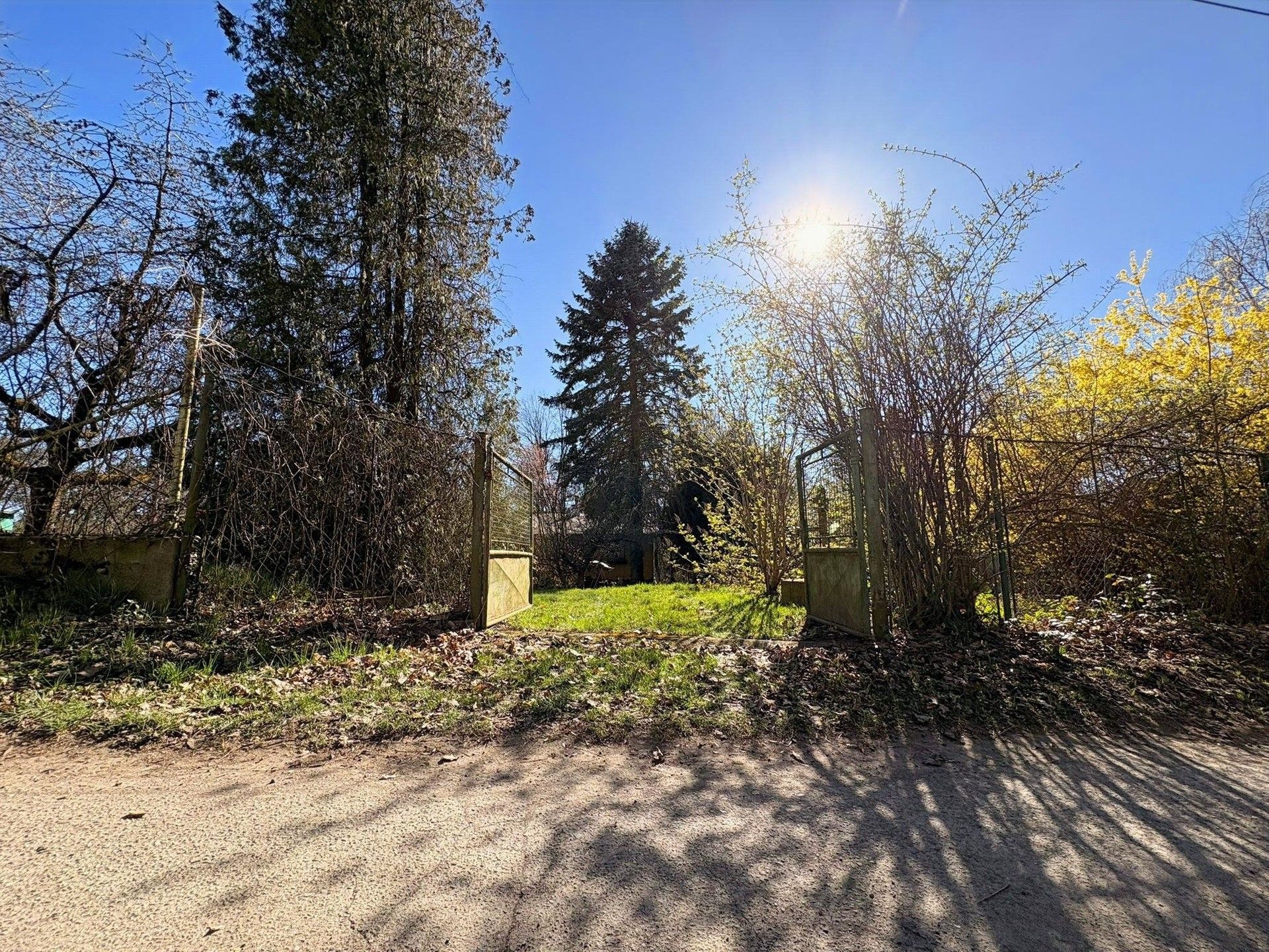 Prodej pozemku 805 m² - foto 10