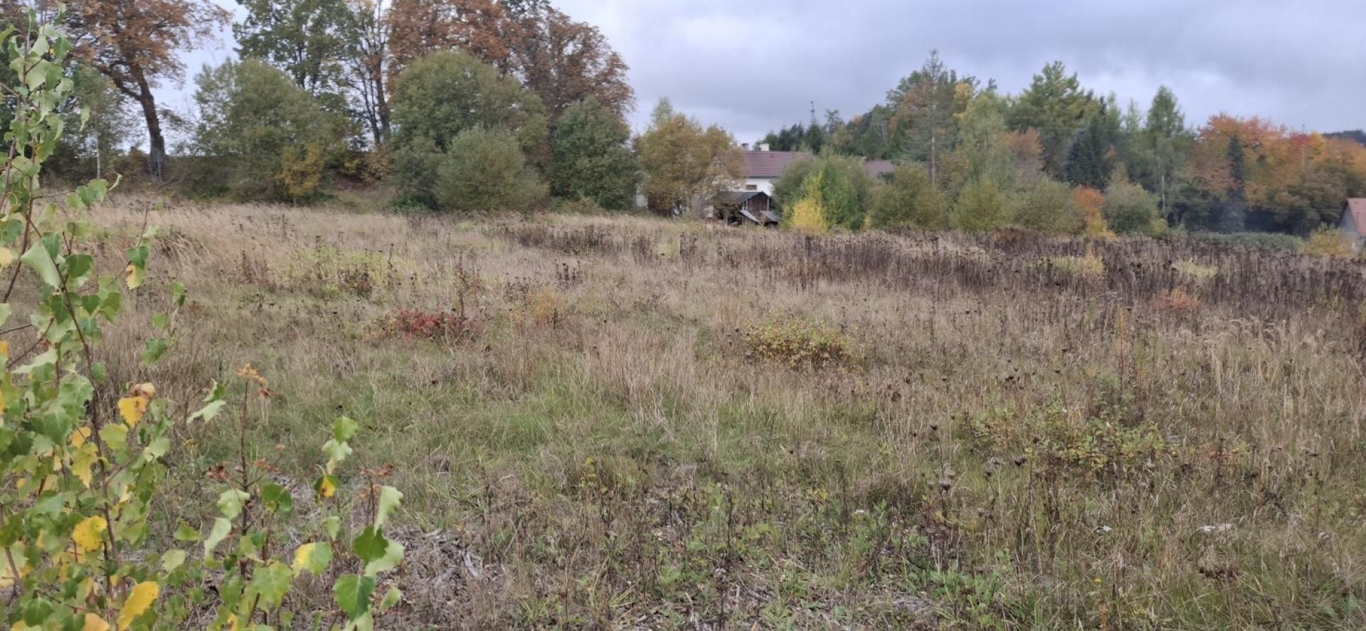 Prodej pozemku 10095 m² - foto 4