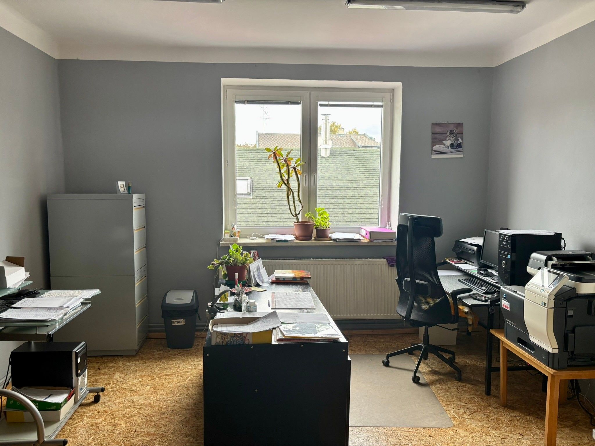 Prodej domu 431 m² - foto 8
