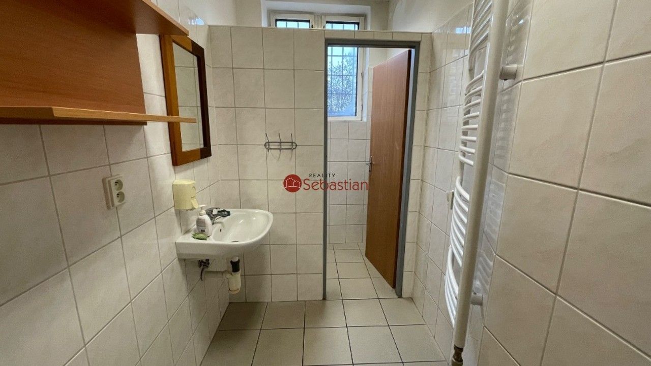 Pronájem komerčního prostoru 184 m² - foto 15