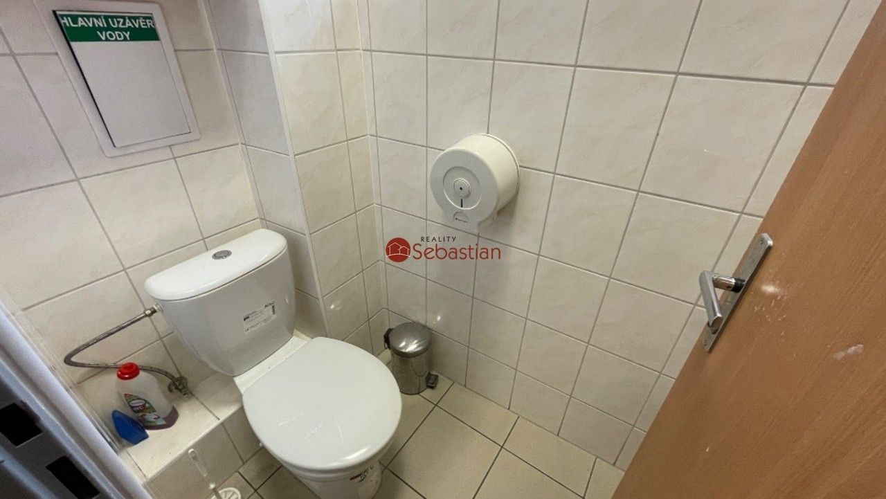 Pronájem komerčního prostoru 184 m² - foto 16