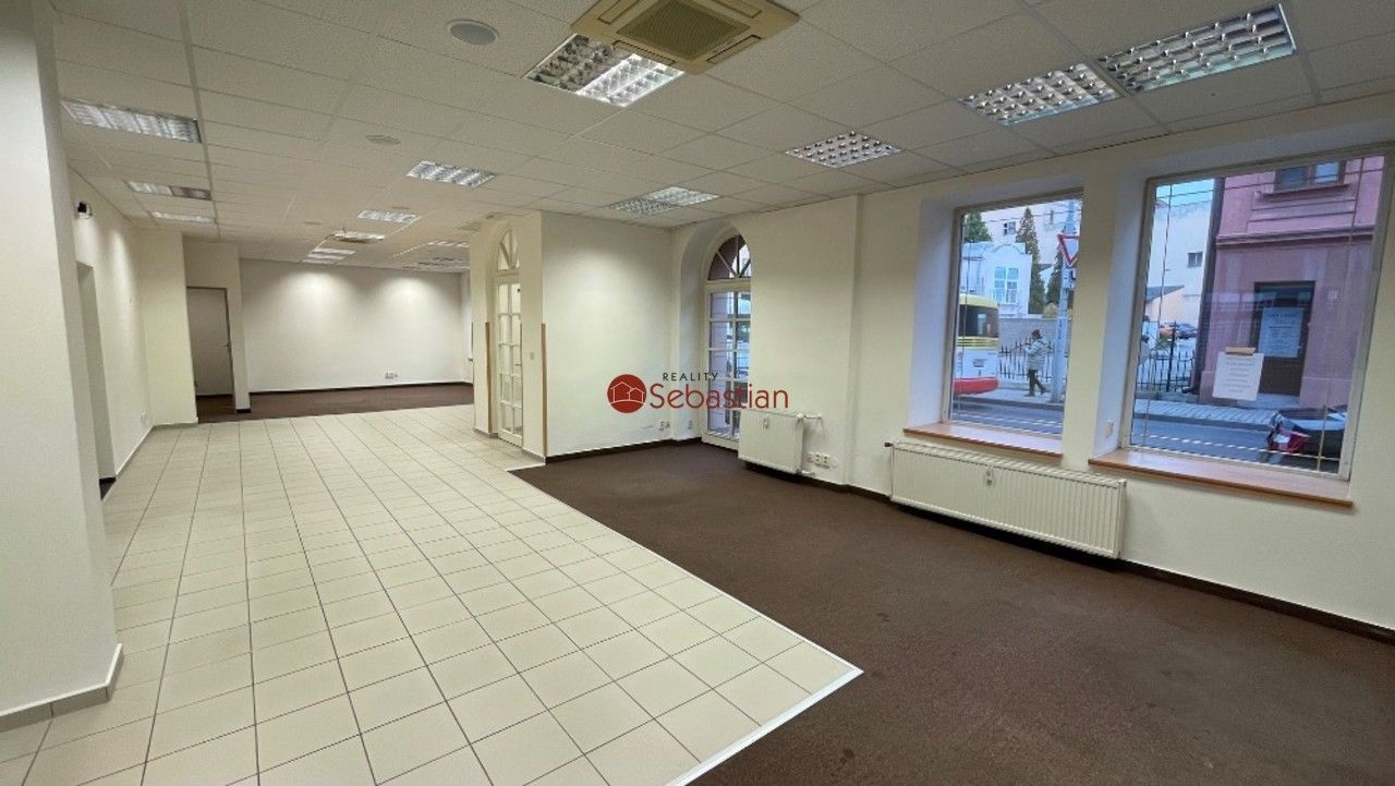 Pronájem komerčního prostoru 184 m² - foto 9