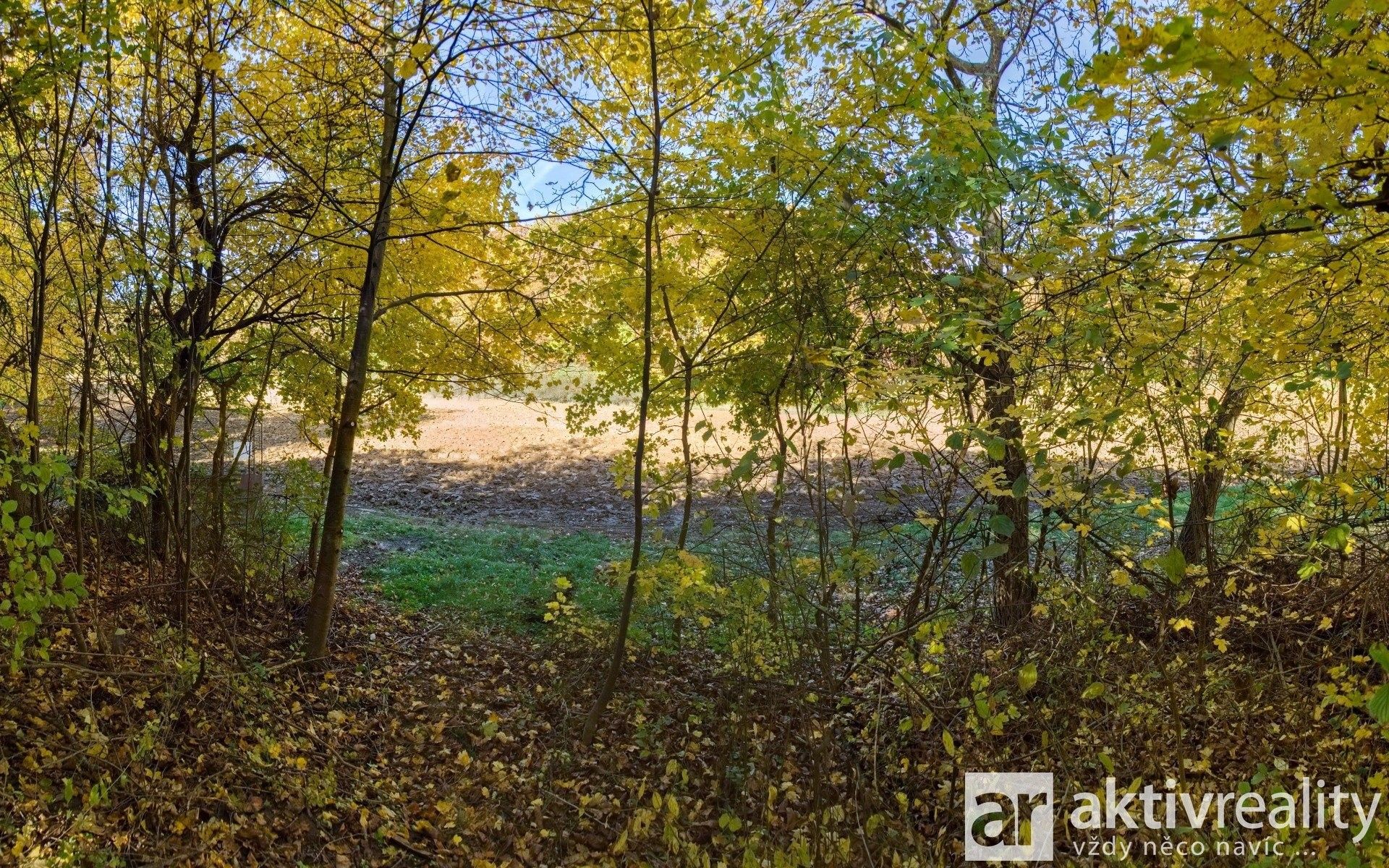 Prodej pozemku 2116 m² - foto 16