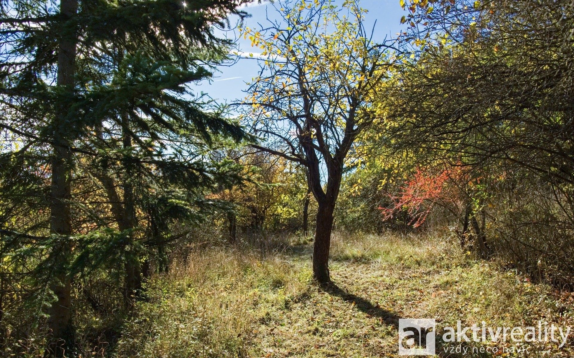 Prodej pozemku 2116 m² - foto 24