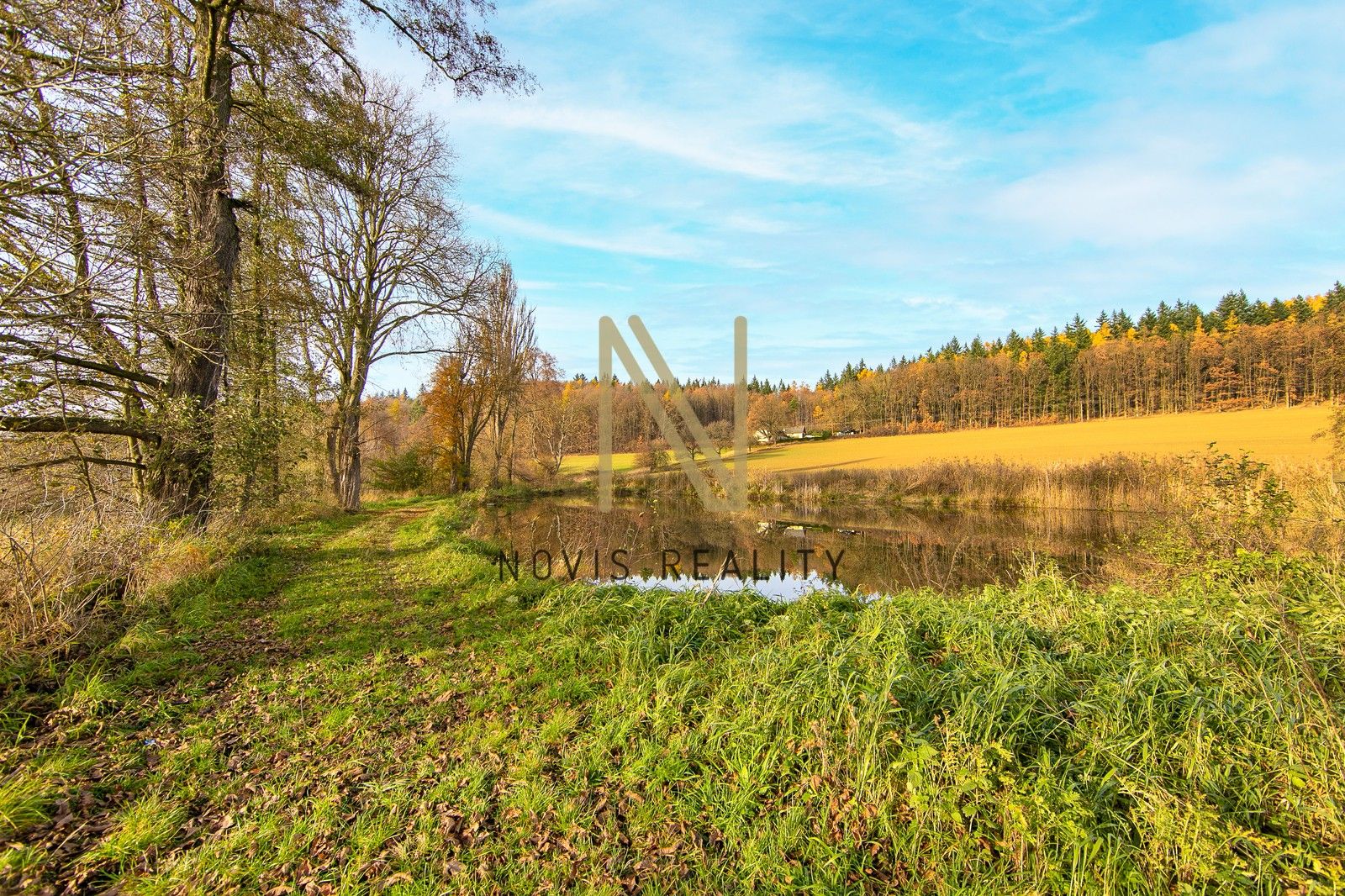 Prodej nemovitosti 2713 m² - foto 5