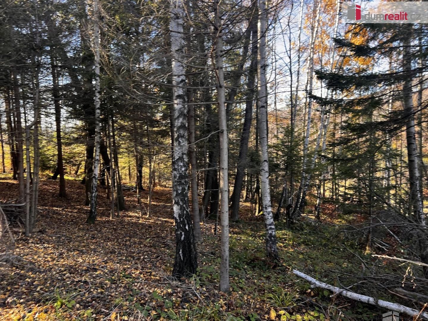 Prodej pozemku 3129 m² - foto 11
