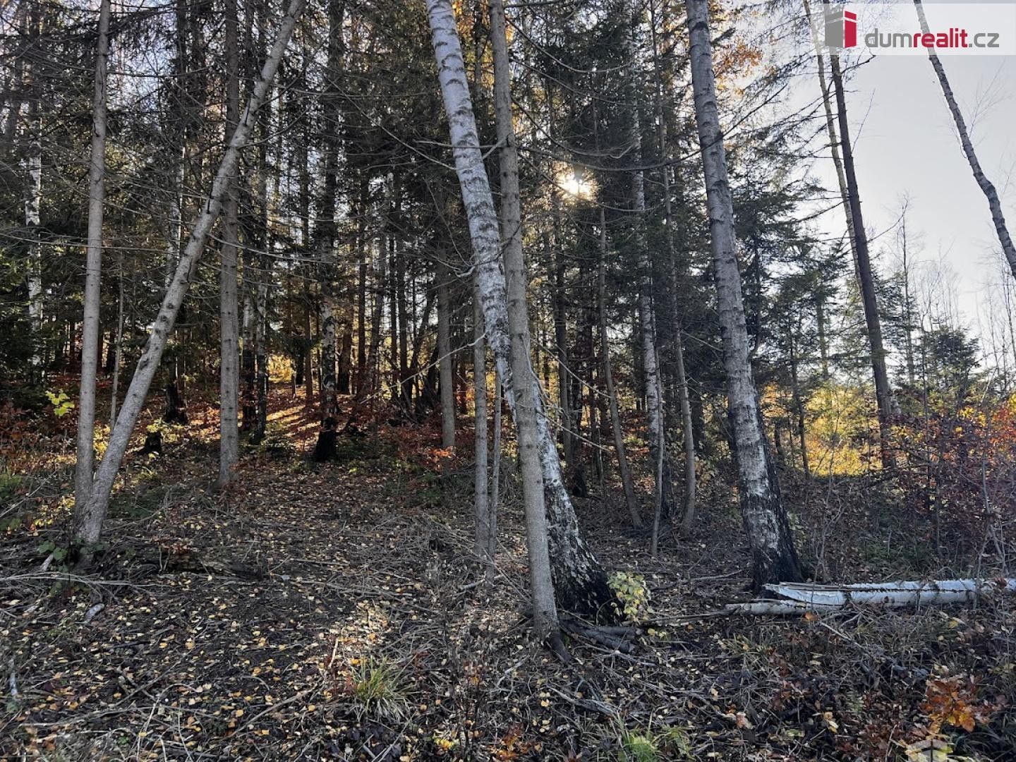 Prodej pozemku 3129 m² - foto 13