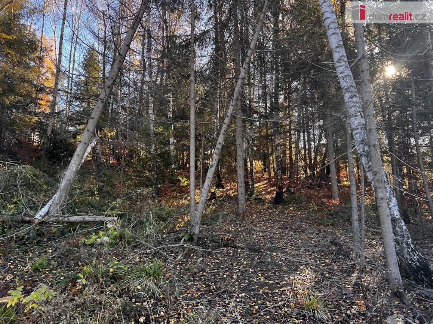 Prodej pozemku 3129 m² - foto 15