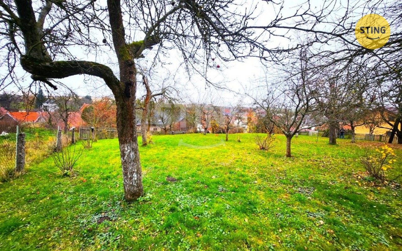 Prodej pozemku 1169 m² - foto 4