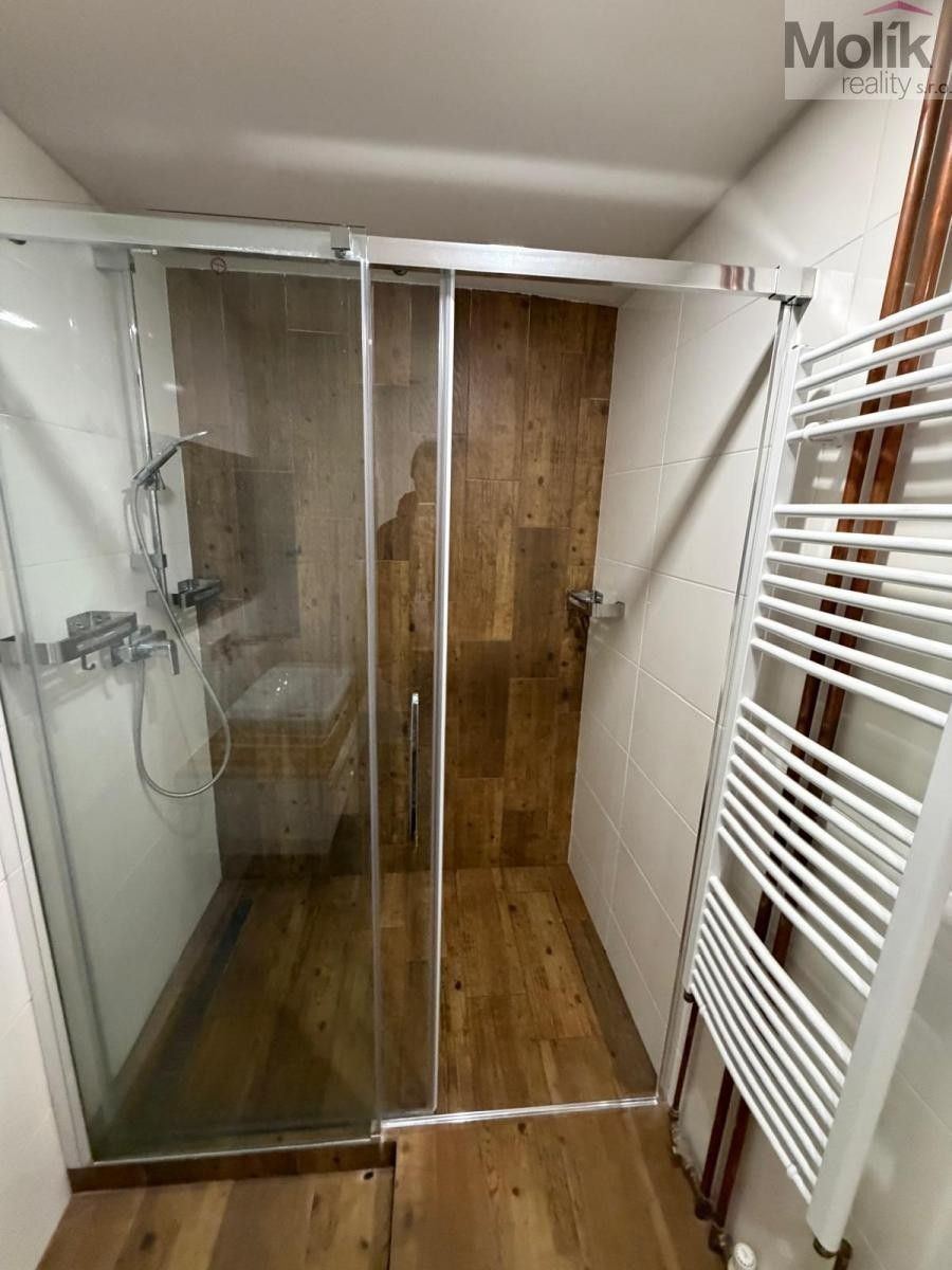 Pronájem bytu 2+1 51 m² - foto 13