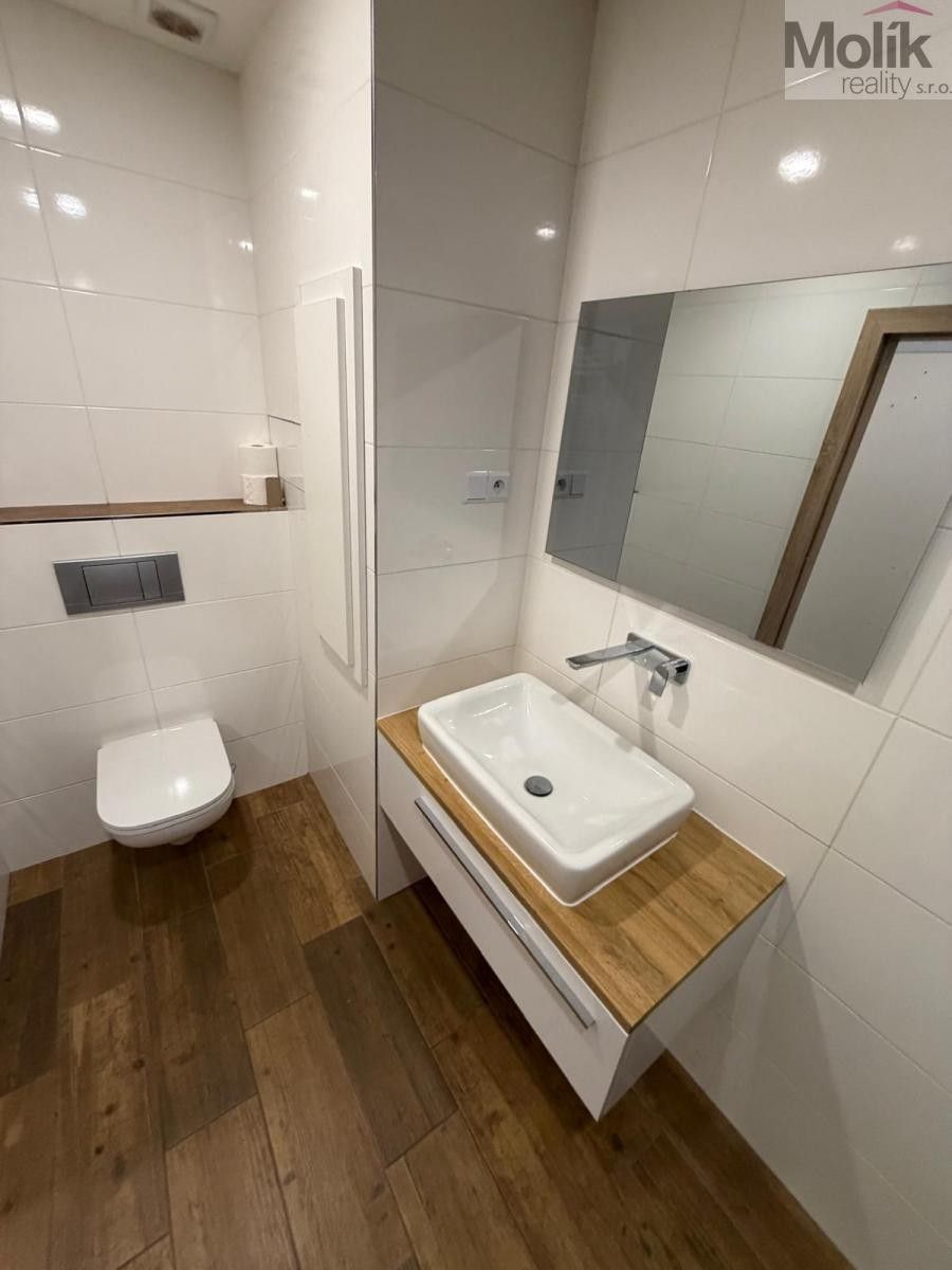 Pronájem bytu 2+1 51 m² - foto 12