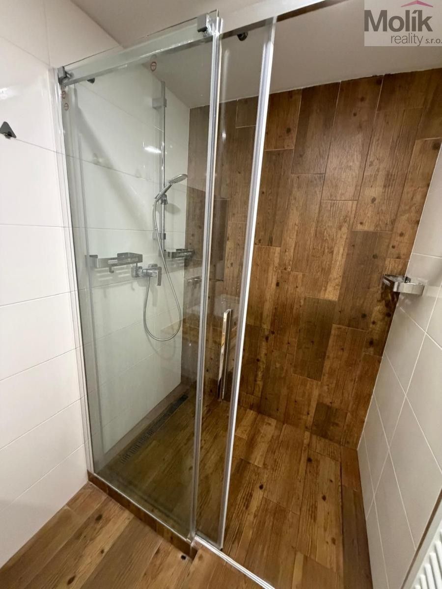 Pronájem bytu 2+1 51 m² - foto 10