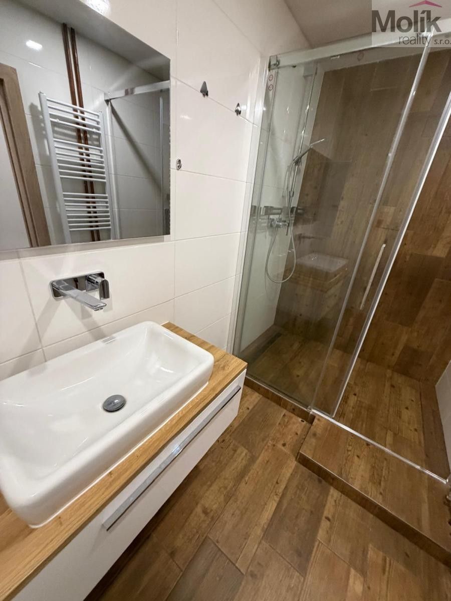 Pronájem bytu 2+1 51 m² - foto 11