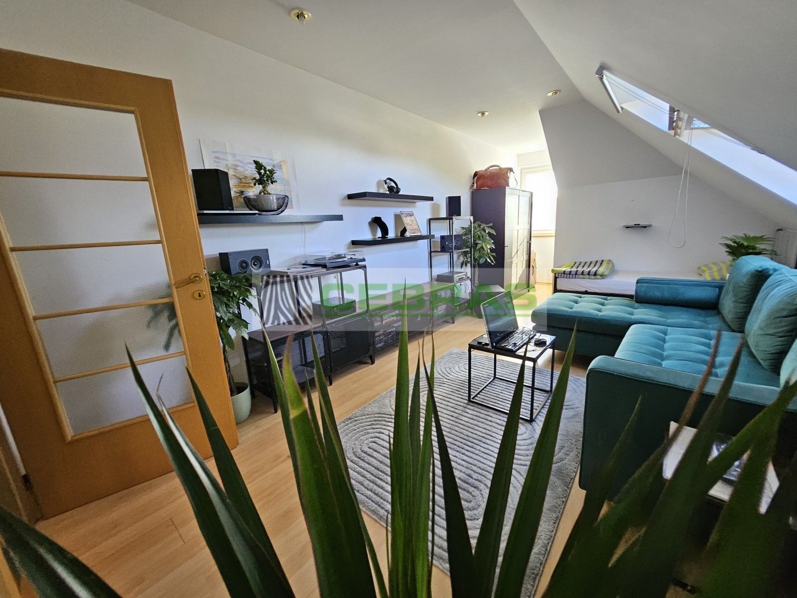 Prodej domu 500 m² - foto 18
