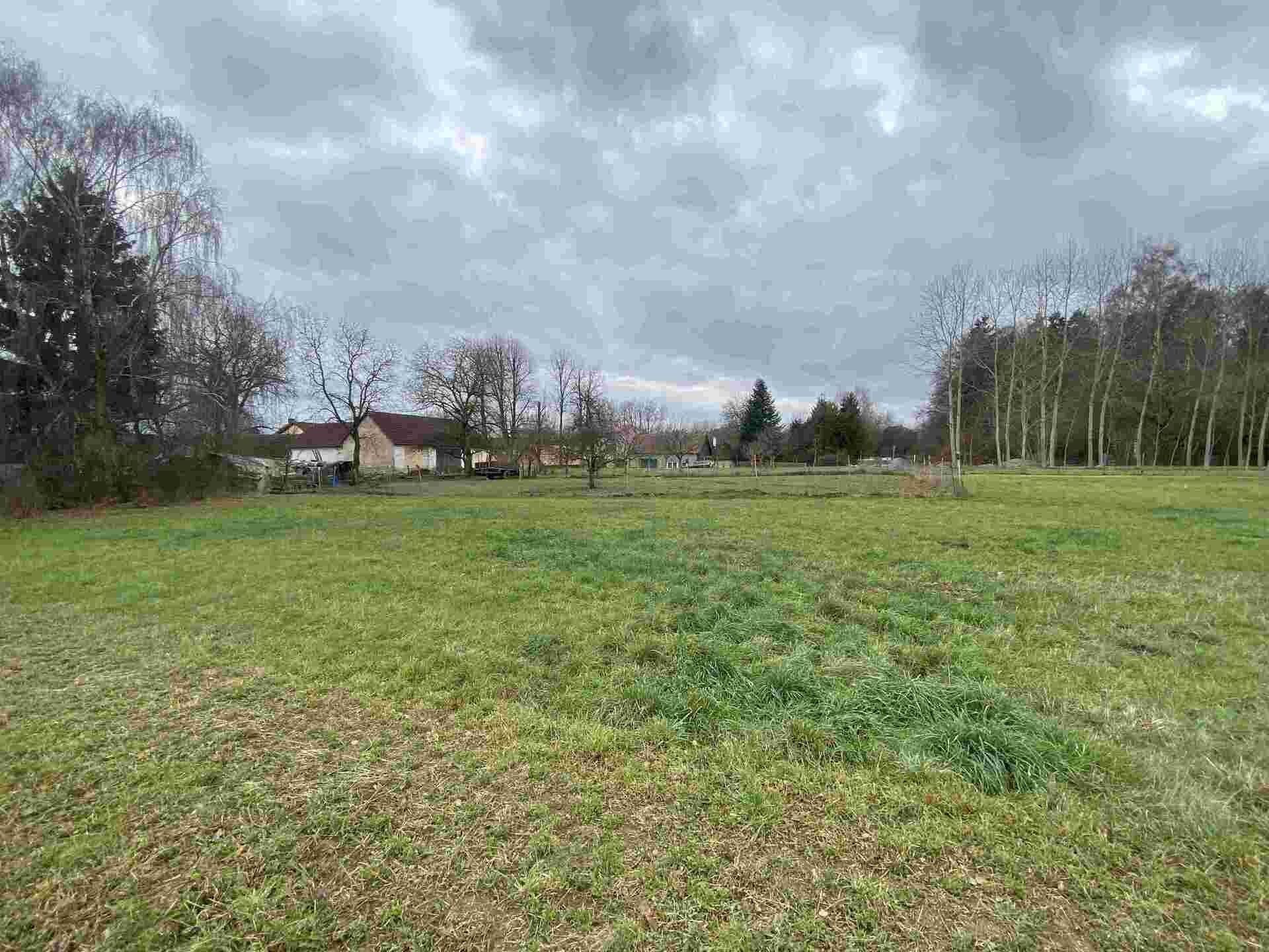 Prodej nemovitosti 1427 m² - foto 6